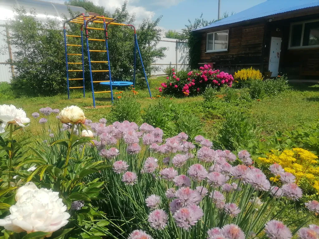 Домик в Бузулукском бору с баней и выходом в лес