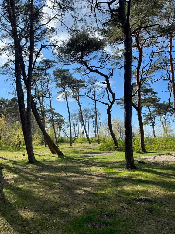 Уютная квартира на берегу моря, рядом Сосновый Бор, казино, Резиденция