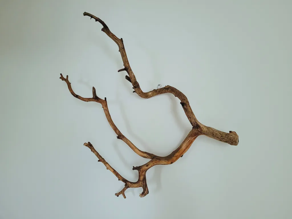 Квартира Квартира Тихая гавань — Санкт-Петербург