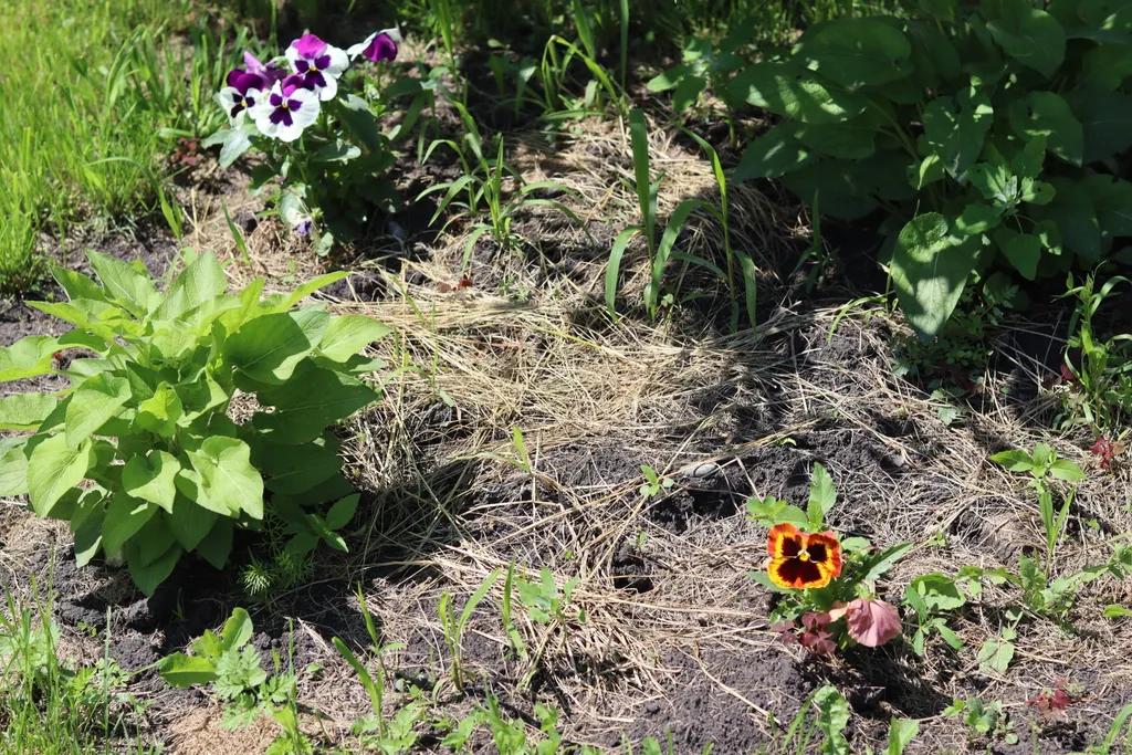 Уютный дом в самом большом селе России