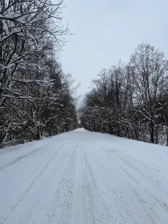 Выход из суеты - не дача Бобёр и Соловьи