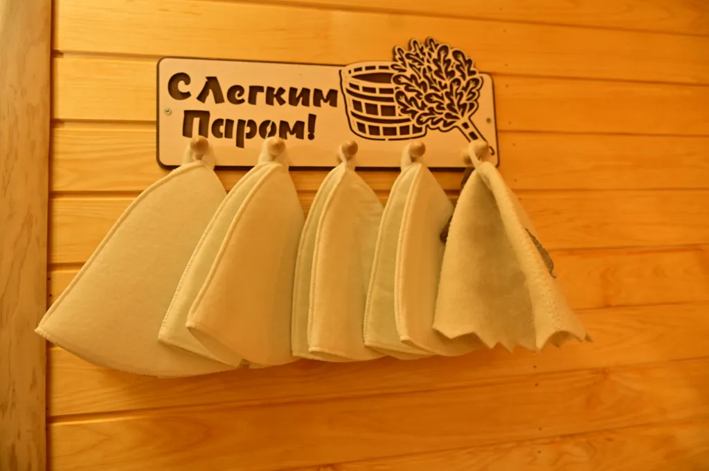 Дом с баней на дровах, банным чаном и большой гостиной