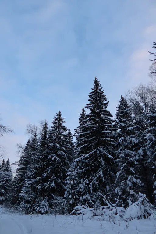 Коттедж 2-комнатный Дом — Шаховская