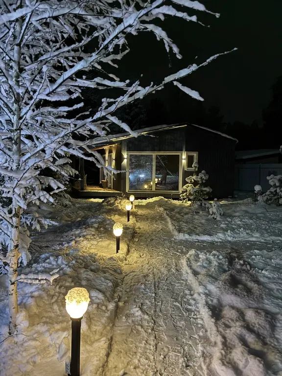 Панорамный дом в лесу