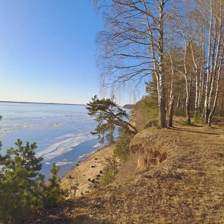 Уютный дом с баней