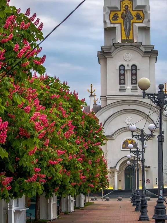 Уютная квартира в центре