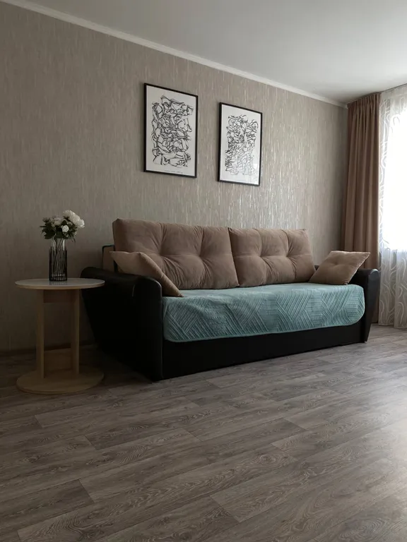 Уютная однокомнатная квартира