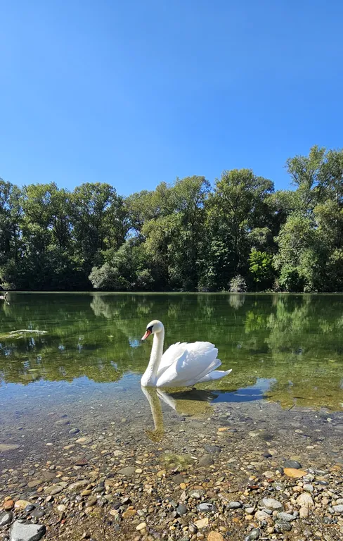 Дом с баней у термальных источников на 10 человек
