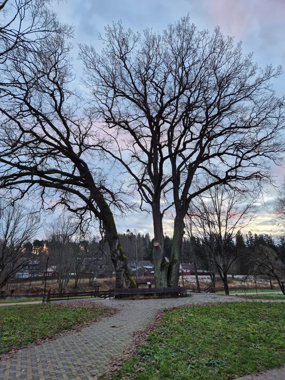 Квартира Квартира на берегу реки Луга — Луга