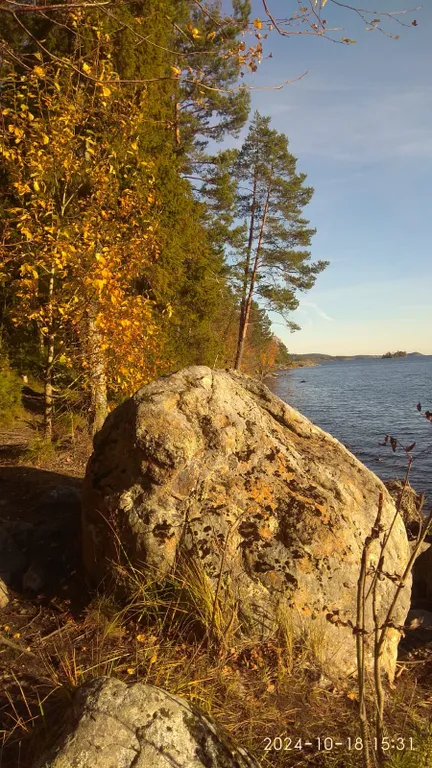 Берлога люкс, коттедж с банным чаном для отдыха с видом на лес и скалы
