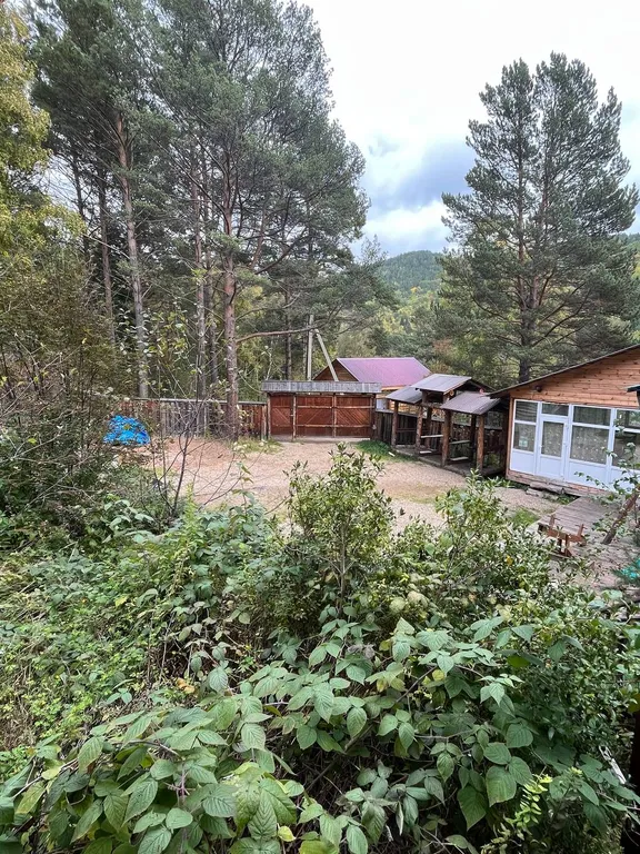 Дом 1 А-фрейм