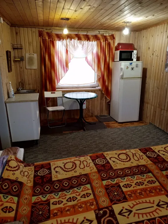 Уютный домик в деревне Чисть