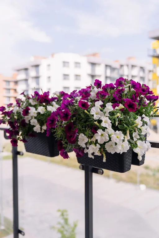 Квартира Квартира Apart-Deluxe Легенды моря: 2к кв в ЖК Светлогорск3 до 6 чел, променад — Светлогорск