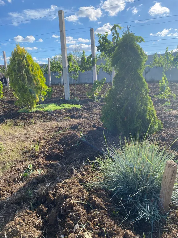 Домик у Черного моря