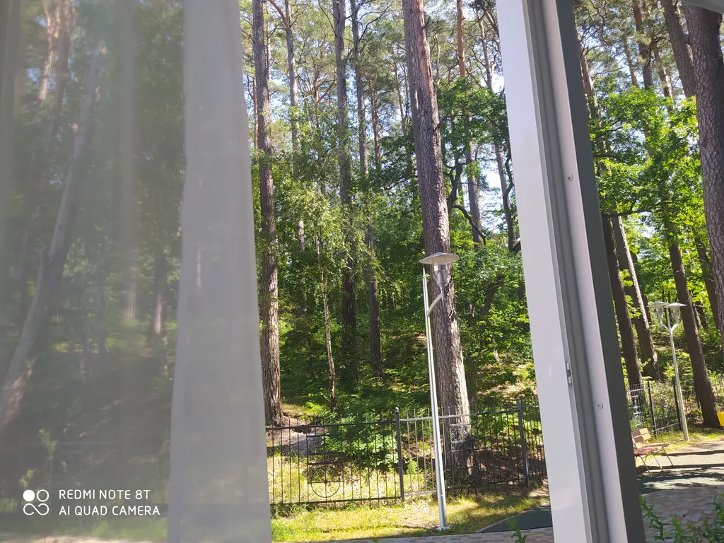 Квартира Уютная квартира с видом на лес — Светлогорск