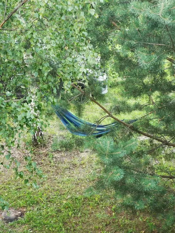 Уютный гостевой дом в поместье Большое небо в экопоселении