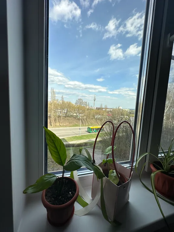 Уютная квартира рядом с центром города