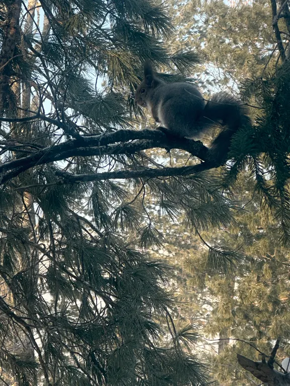 Уютный дом с красивым видом на зелёную гору
