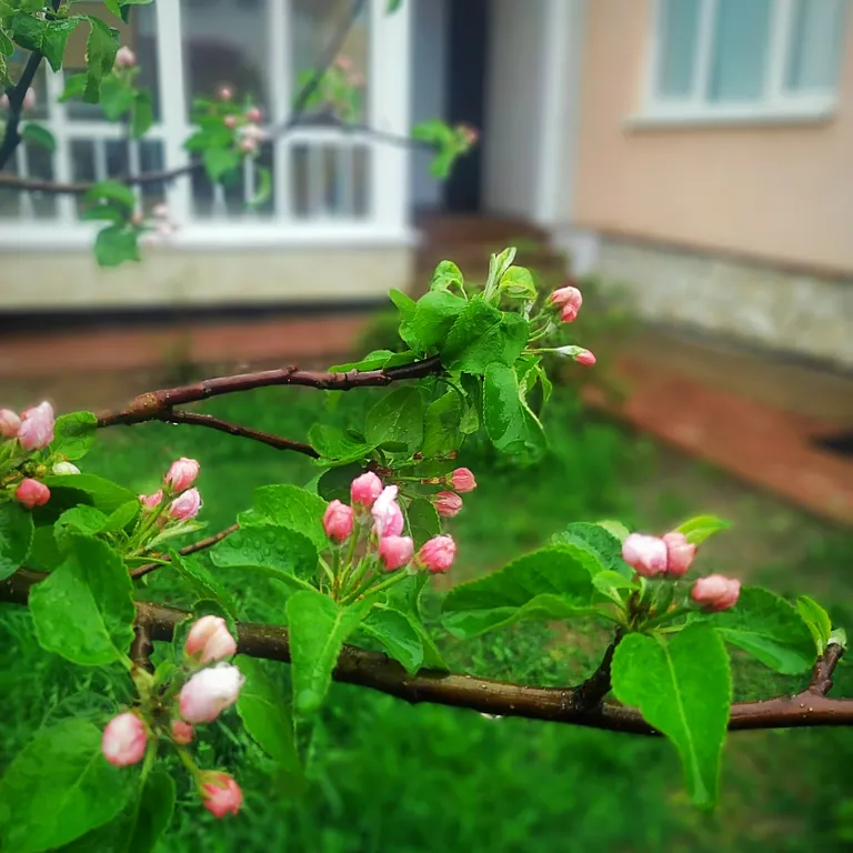 Коттедж Гостевой дом Гармония — Первомайское