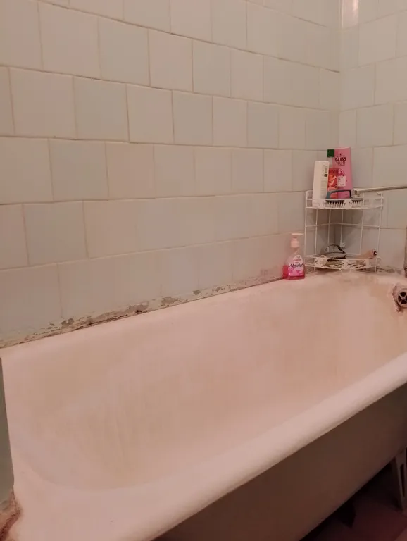 Уютная квартира в парке с соснами