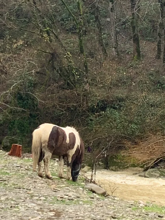 Светлая и чистая студия