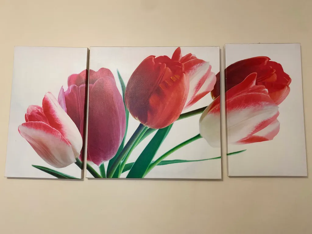 Светлая и уютная квартира в центре города