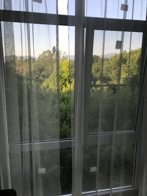 Квартира с видом на парк Южных культур