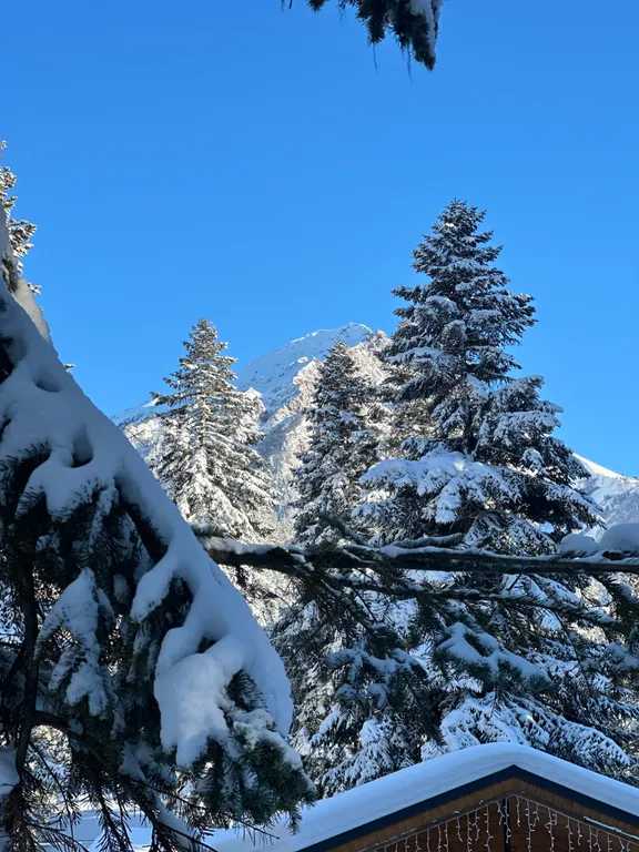 Шале 1 с видом на горы и лес