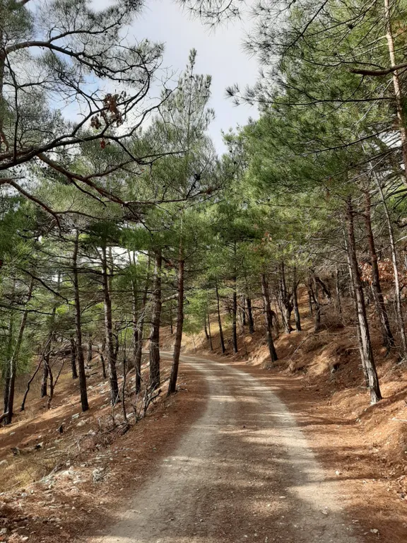 Квартира Квартира Светлая студия у моря — Геленджик