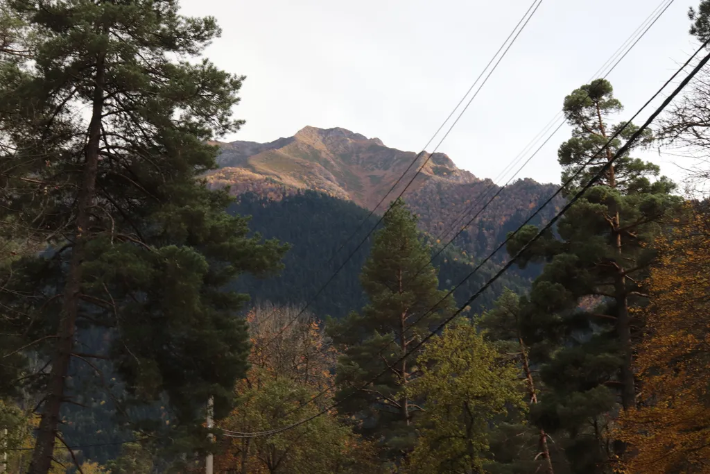 Коттедж Дом в живописном лесу (а-фрейм) — Архыз