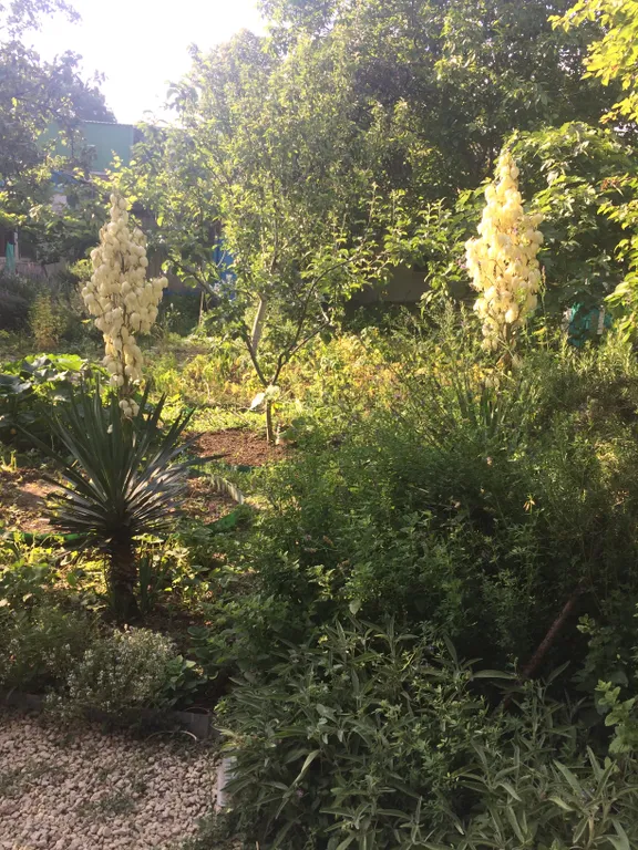 Коттедж 2-комнатный Дом — Анапа