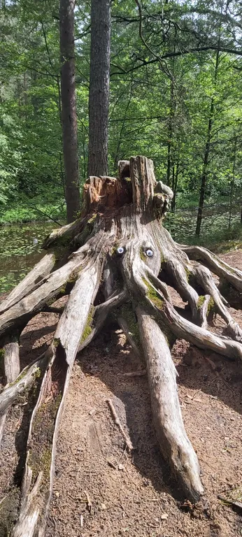 Апартаменты с террасой и камином в лесу рядом с Финским заливом