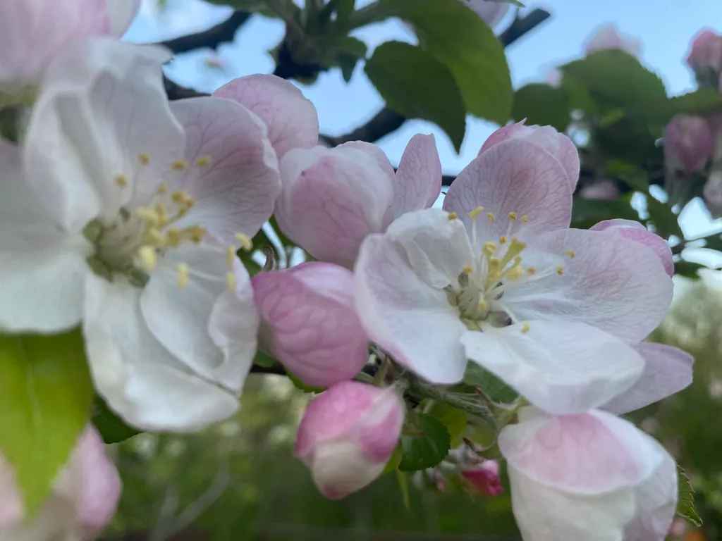 Коттедж Коттедж Дача с банькой в живописном лесу — Горячий Ключ