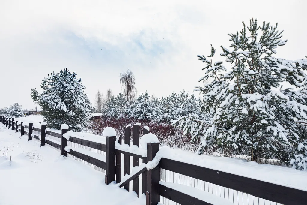 Гостевой дом на берегу лесного озера