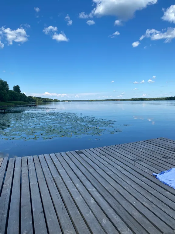 Уютный домик в лесу около реки