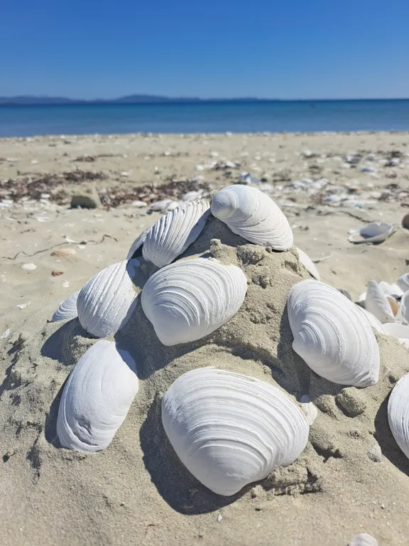 Уютная квартира в центре города — аренда посуточно в Находка