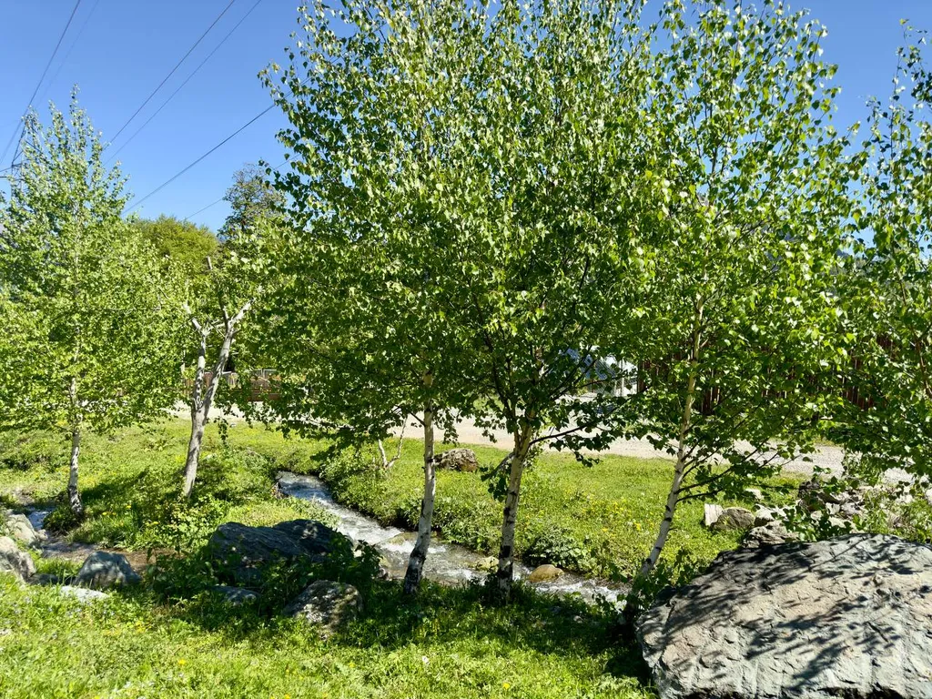 Квартира Комната — Архыз