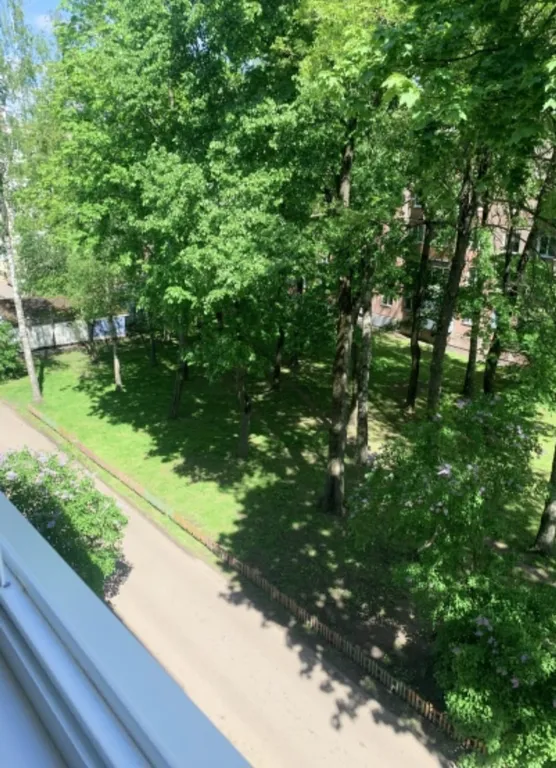 Лучшие апартаменты в центре города