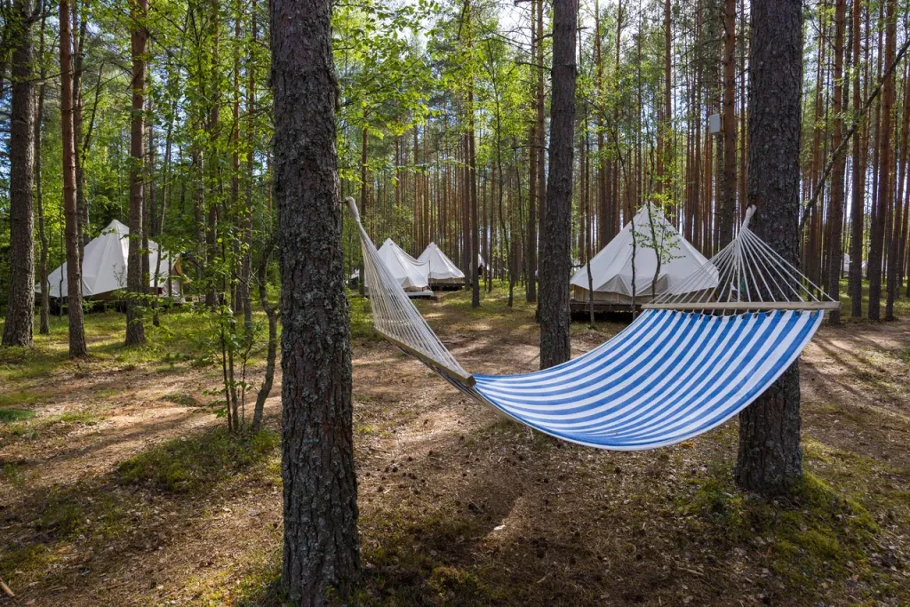 Гостевой дом на 6 номеров на компанию до 12 взрослых и 2 детей