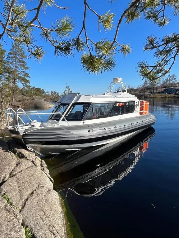 Дом "Карельская береза" недалеко от центра города.