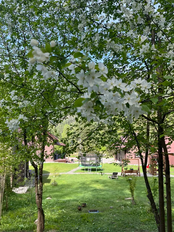 Гостевой дом Villar семейный коттедж