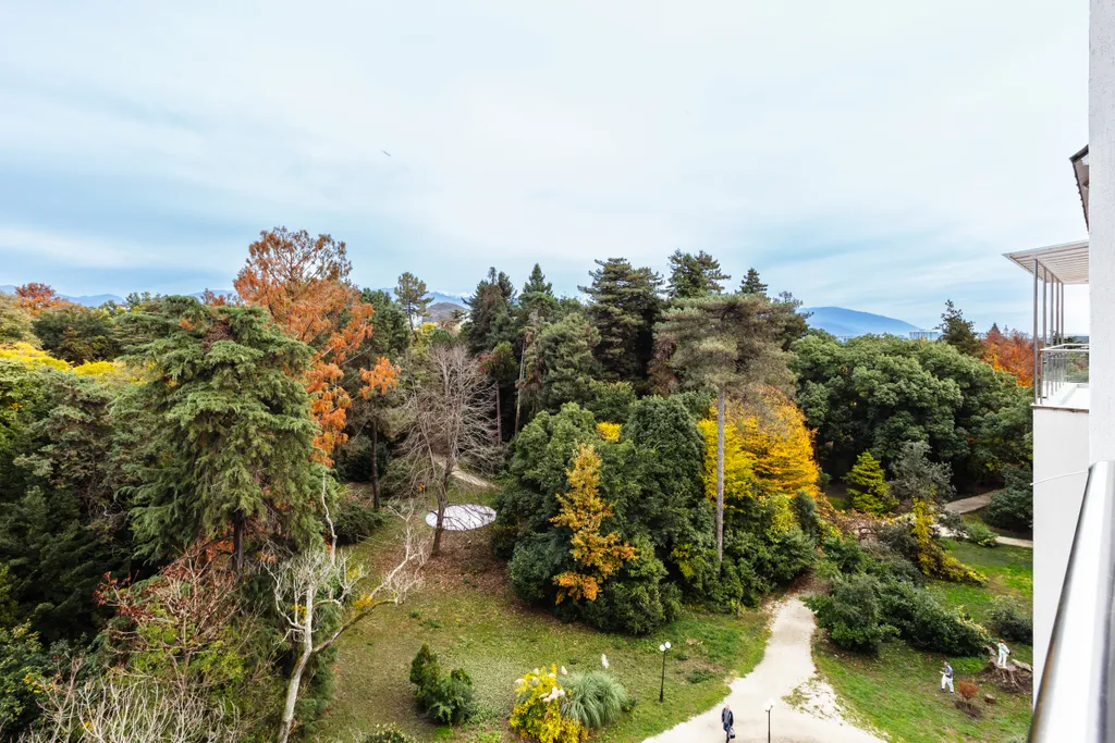 Квартира 1-комнатная Квартира — Сириус