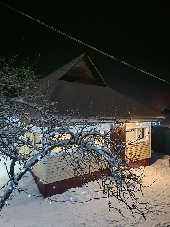 Коттедж Гостевой дом с русской баней и уличной купелью — Кириши