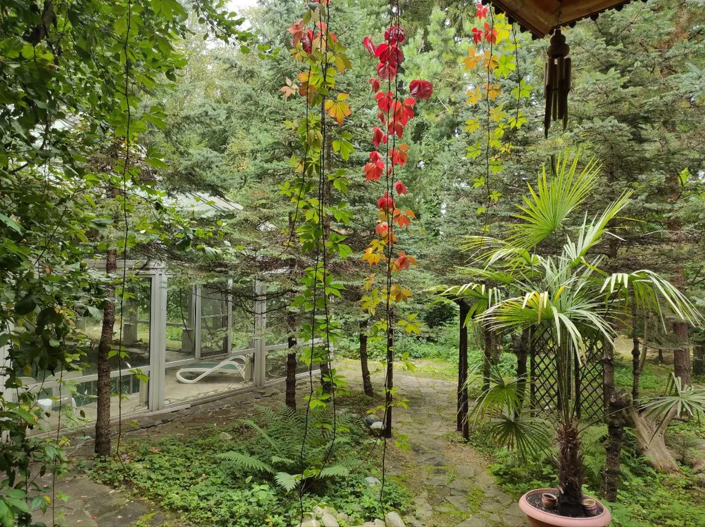 Коттедж Дом с тропическим бассейном, сауной и каминами — Московский