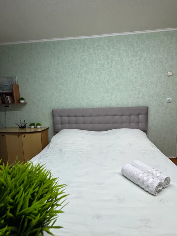 Квартира рядом с Коллажем, памятником Победы