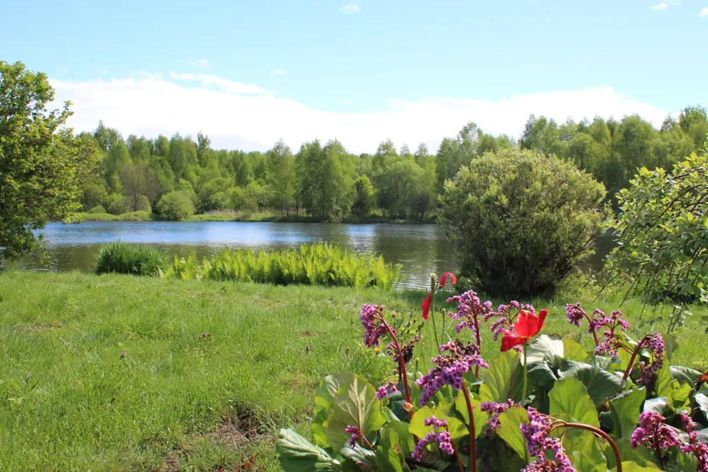 Усадьба Пядань, рыбалка