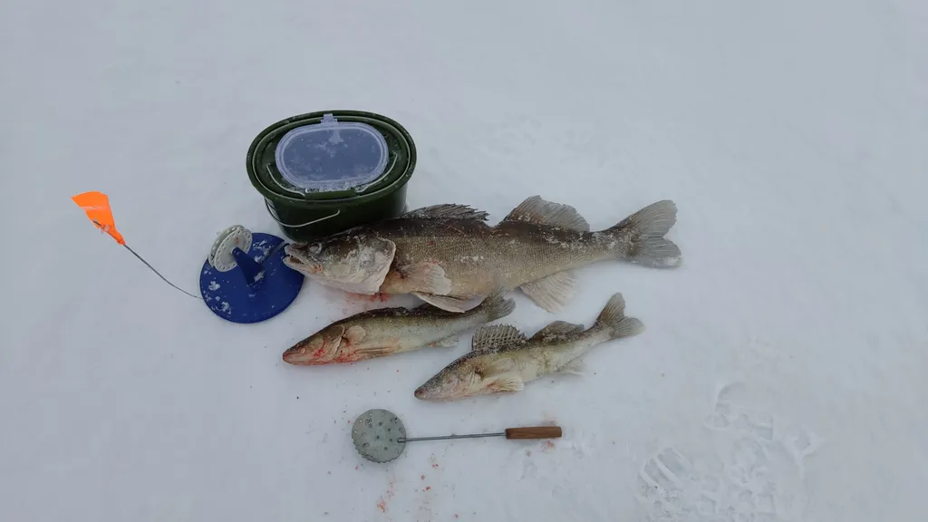 Коттедж Дизайнерский коттедж на берегу озера Волго на Селигере — Турбаза Чайка