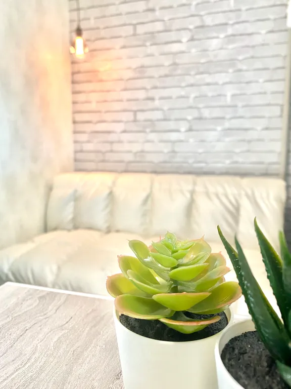 Квартирка в центре