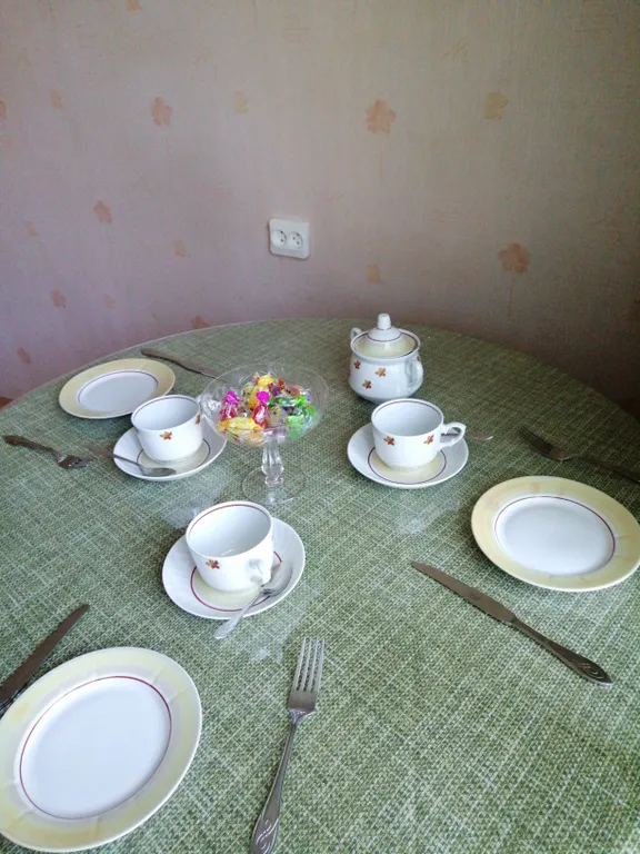 Квартира Уютная квартира в шаговой доступности от метро Проспект Славы — Санкт-Петербург