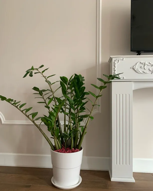 Розовый закат